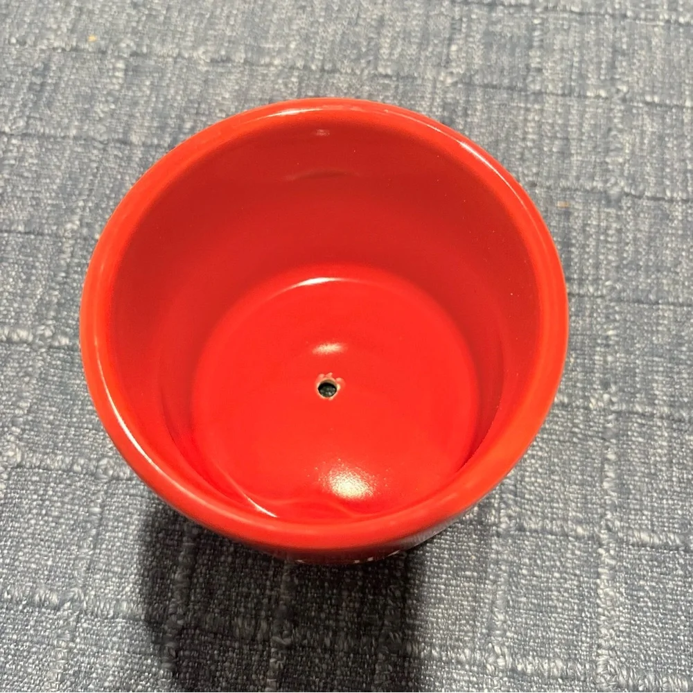 Rae Dunn ‘Sprout’ Ceramic Planter - Picture 4 of 4